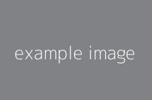 example-image220x145