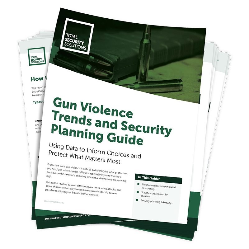 Gun-Violence-Trends-TSS-Preview_sm
