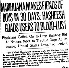 don't panic about recreational marijuana