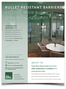 TSS company overview cover page