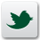 Follow TSS Bulletproof on Twitter