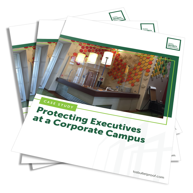 TSS-Corporate-CaseStudy