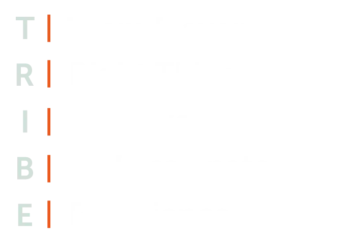TSS_WebsiteInfographic_CoreValues_2021-v2
